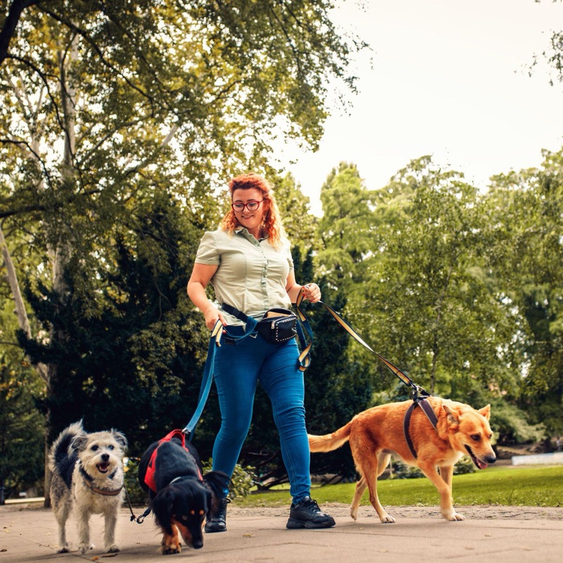 Pet sitters available in Stockton, California - Gateway to the Delta. Find trusted dog walkers, pet boarding, and house sitting services.