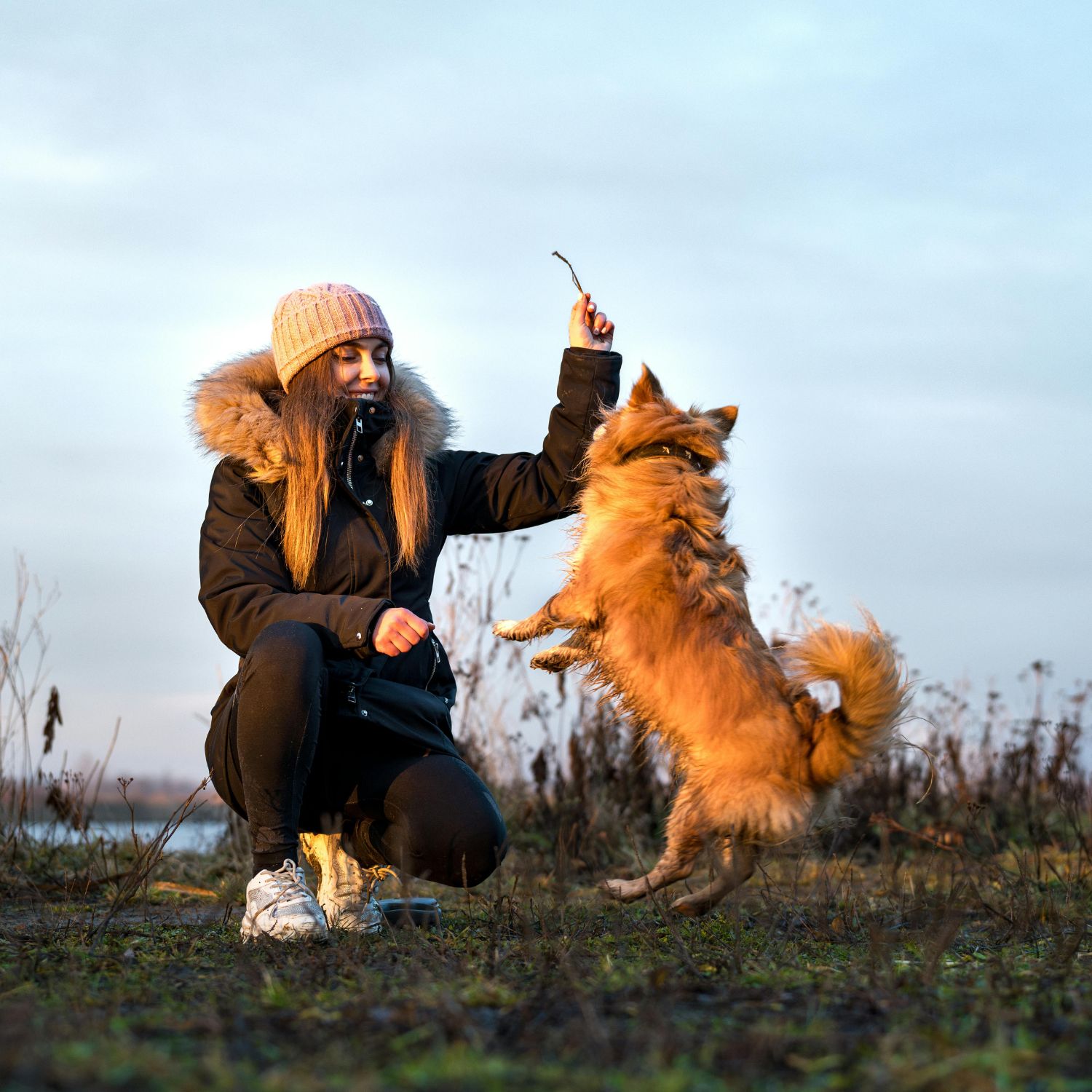 Tierbetreuer verfügbar in Stuttgart - Die Schwabenmetropole. Finde Gassi-Service, Tierpension und Hausbetreuung.
