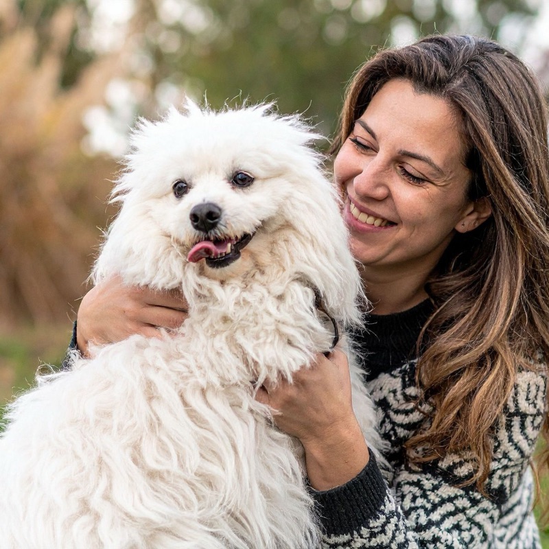 Pet sitters available in Tallinn - The Digital Capital. Find trusted dog walkers, pet boarding, and house sitting services.