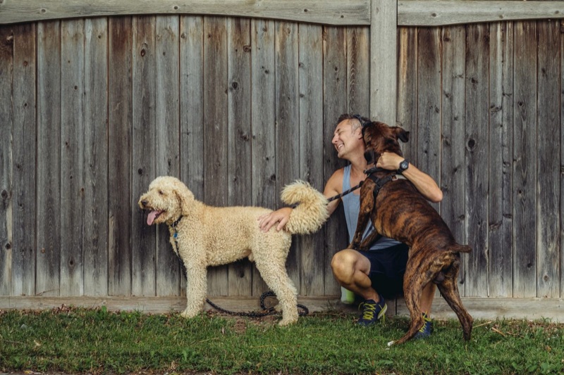 Pet sitters available in Tampa, Florida - Lightning City. Find trusted dog walkers, pet boarding, and house sitting services.