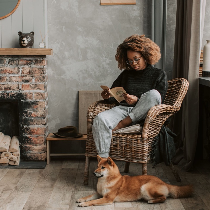 Pet sitters available in Tilburg - The Cultural Hub. Find trusted dog walkers, pet boarding, and house sitting services.