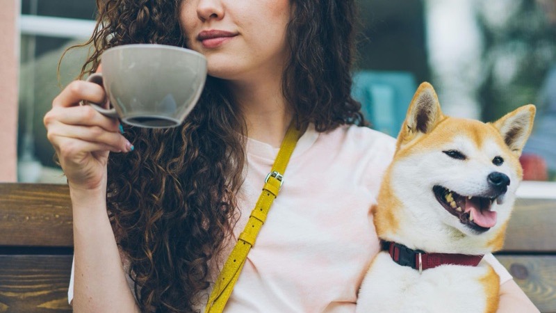 Pet Sitters and Dog Walkers in United Arab Emirates