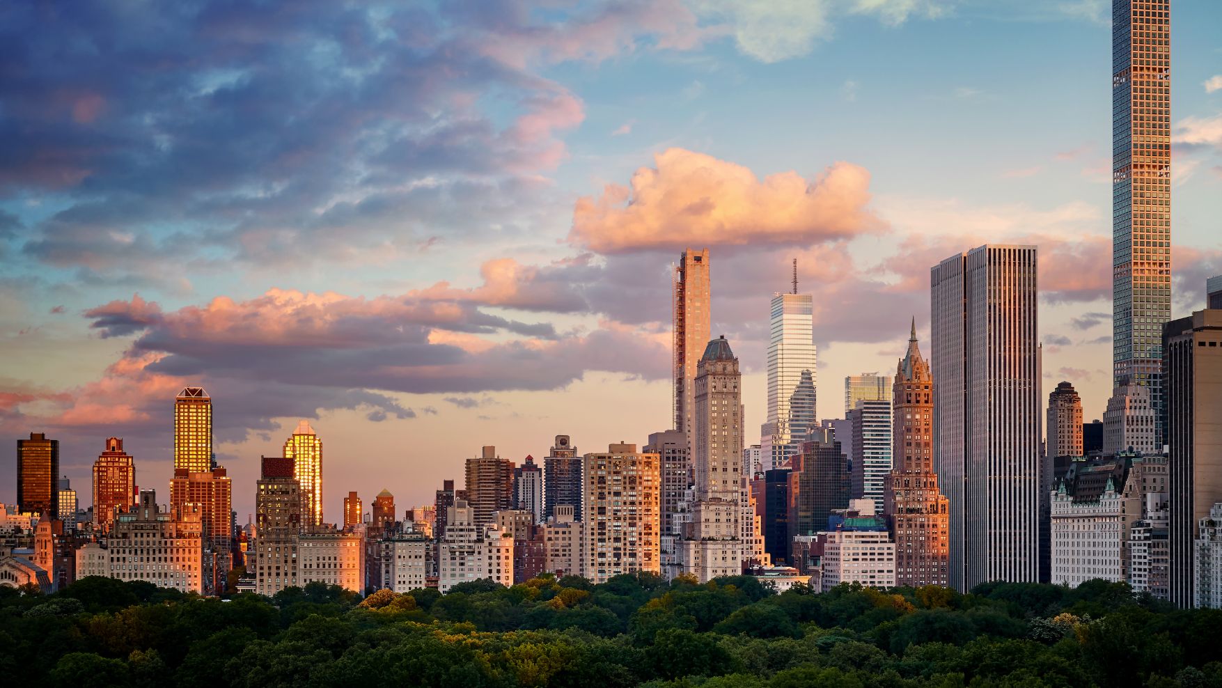 Pet care in United States