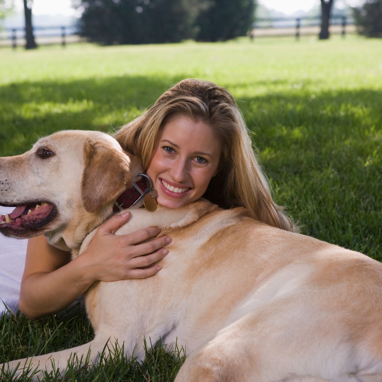 Pet sitters available in Vantaa, Uusimaa - Airport City. Find trusted dog walkers, pet boarding, and house sitting services.