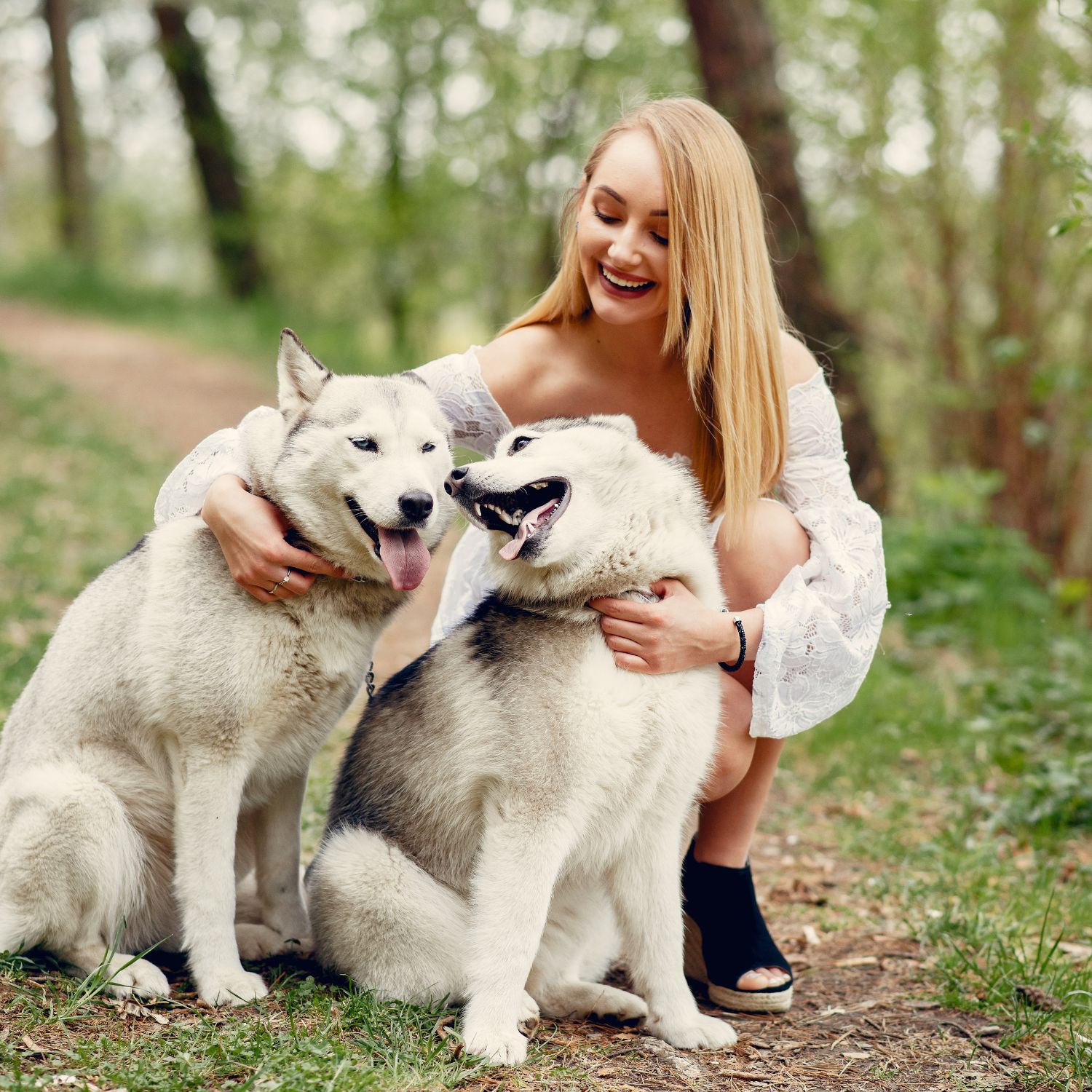 Tierbetreuer verfügbar in Wien - Die lebenswerteste Stadt. Finde Gassi-Service, Tierpension und Hausbetreuung.