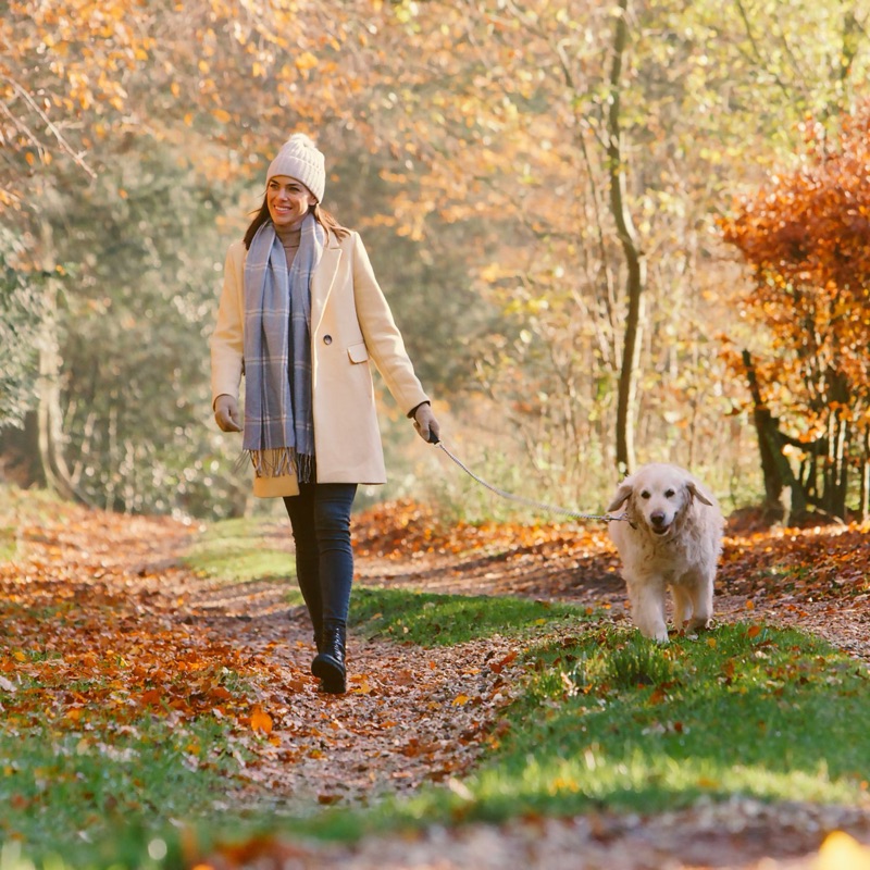 Gardiens d'animaux disponibles à Villeurbanne, Auvergne-Rhône-Alpes - La Ville aux Gratte-Ciel. Trouvez des promeneurs, pension et garde à domicile.