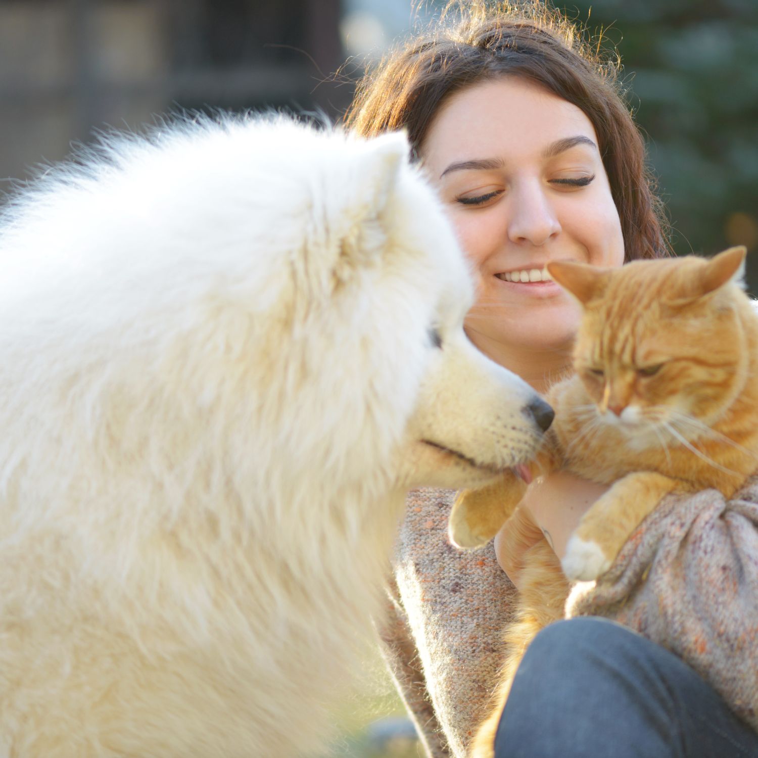 Pet sitters available in Volos - Gateway to Pelion. Find trusted dog walkers, pet boarding, and house sitting services.