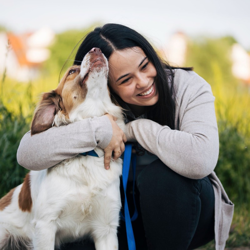 Pet sitters available in Wichita, Kansas - The Air Capital of the World. Find trusted dog walkers, pet boarding, and house sitting services.