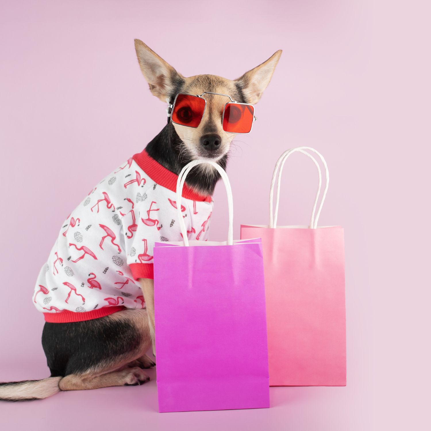 Pet with branded products