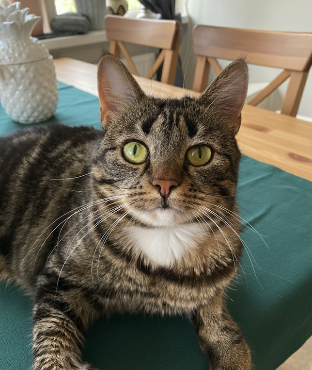 Michael P., San Francisco, CA