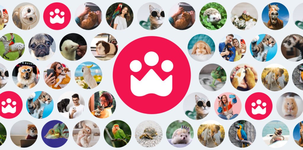 Petme – the Ultimate Social Network for Pets and Pet Lovers