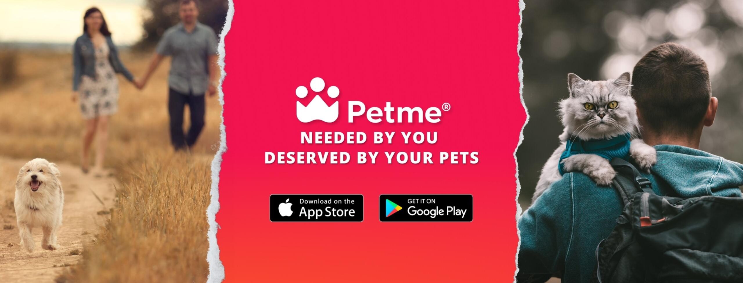 Petme  The social platform for pets & their people