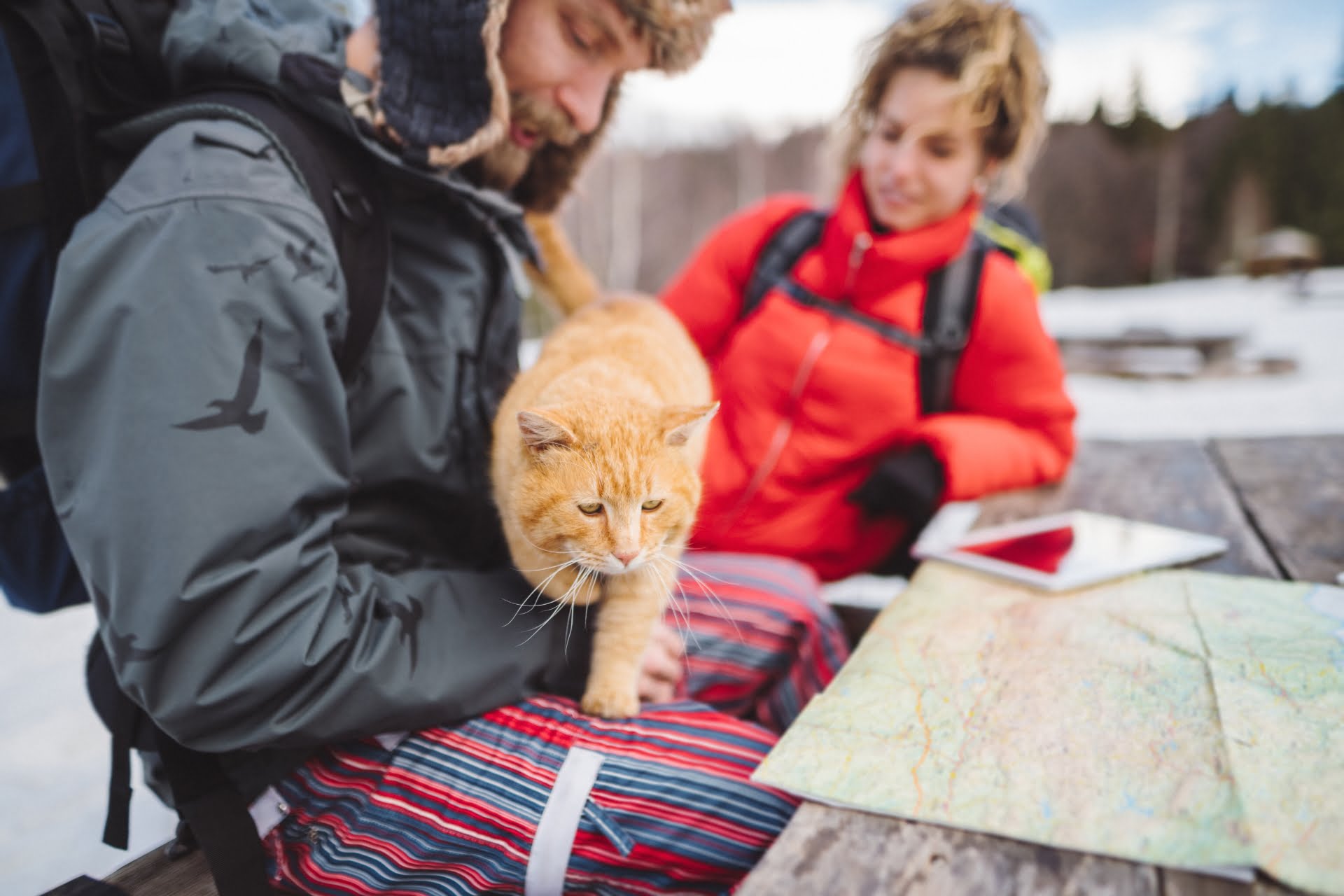 A couple hiking with a cat