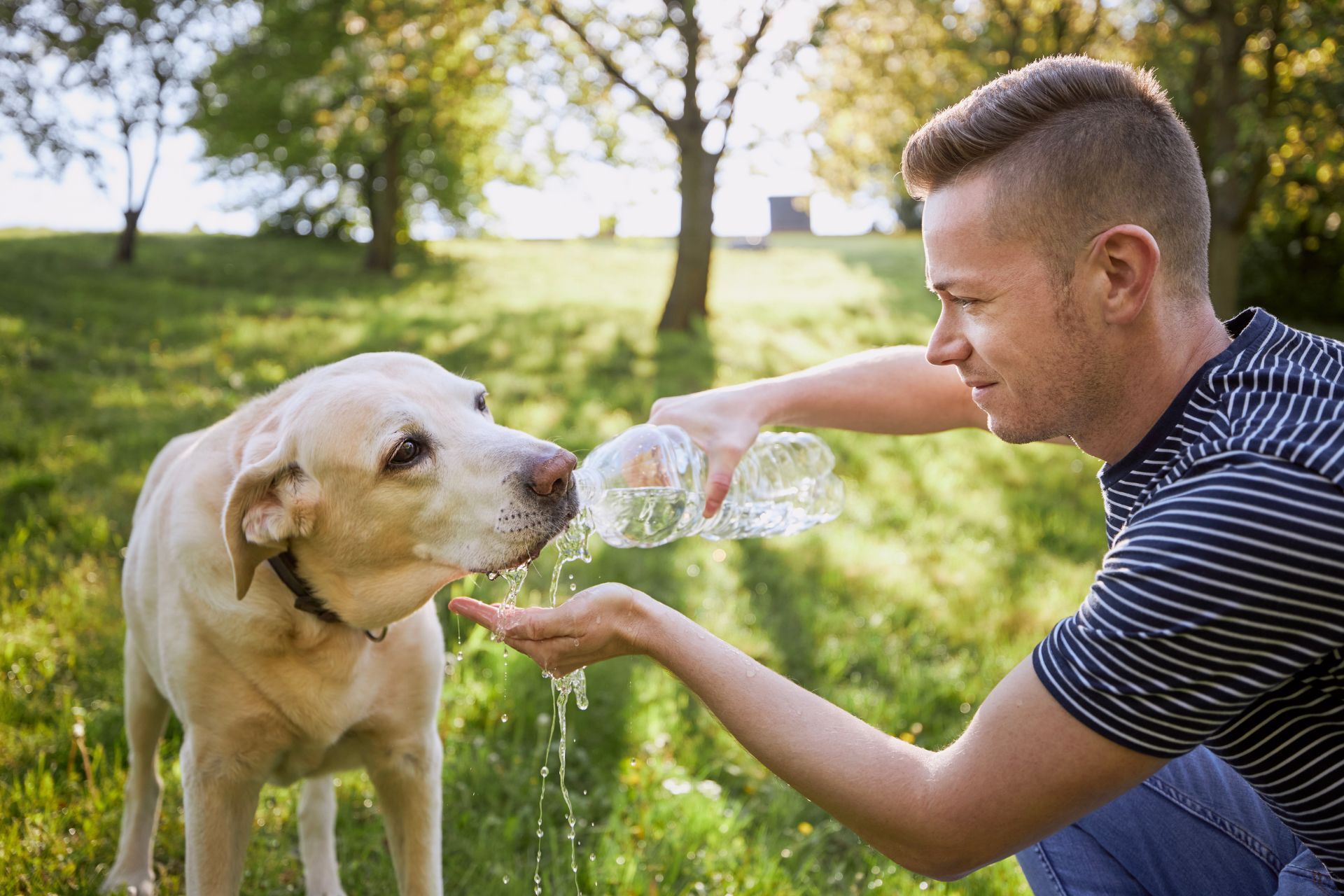 A man giving water to his dog from a water bottle