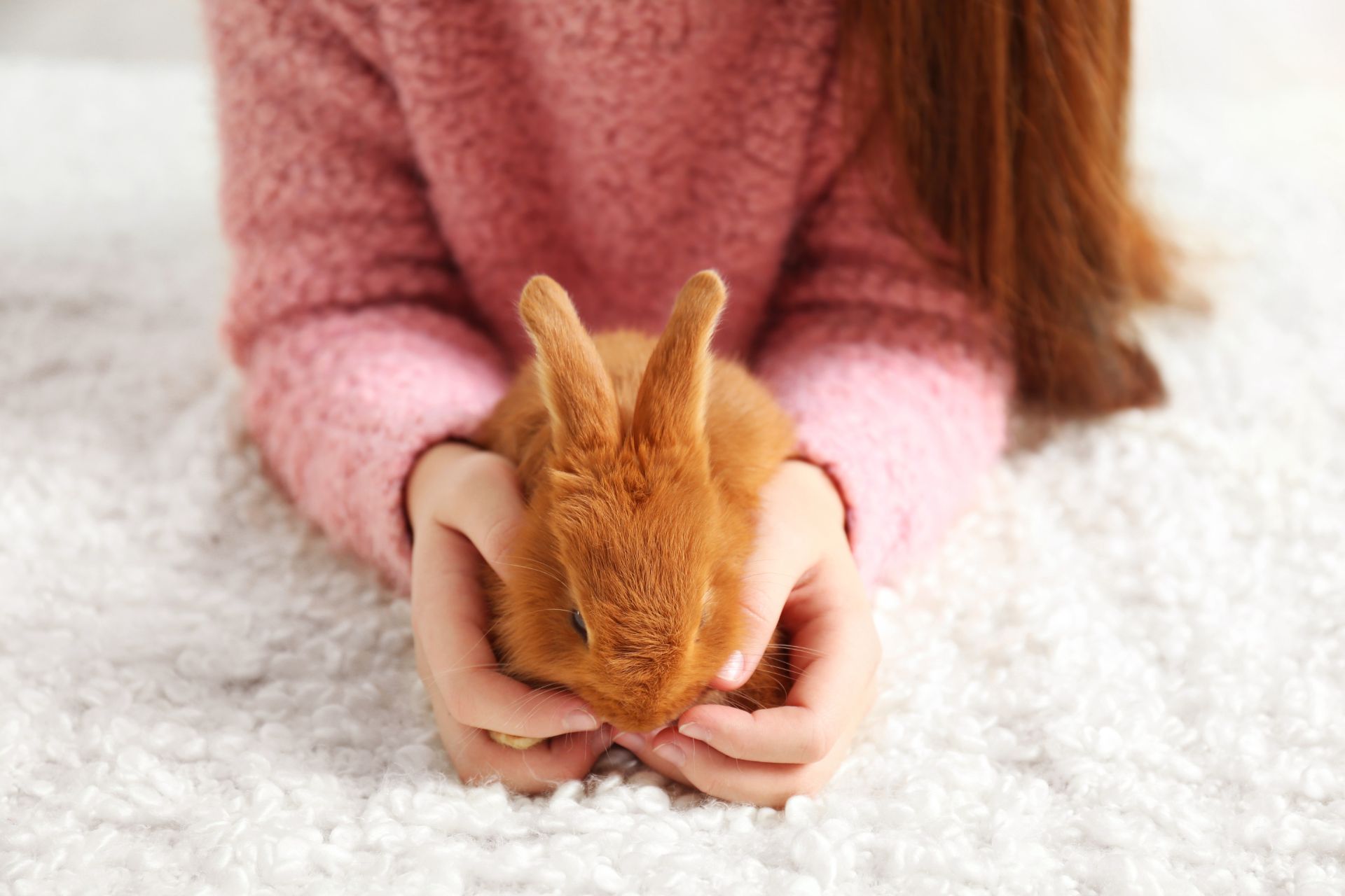 A woman holding a tiny rabbit