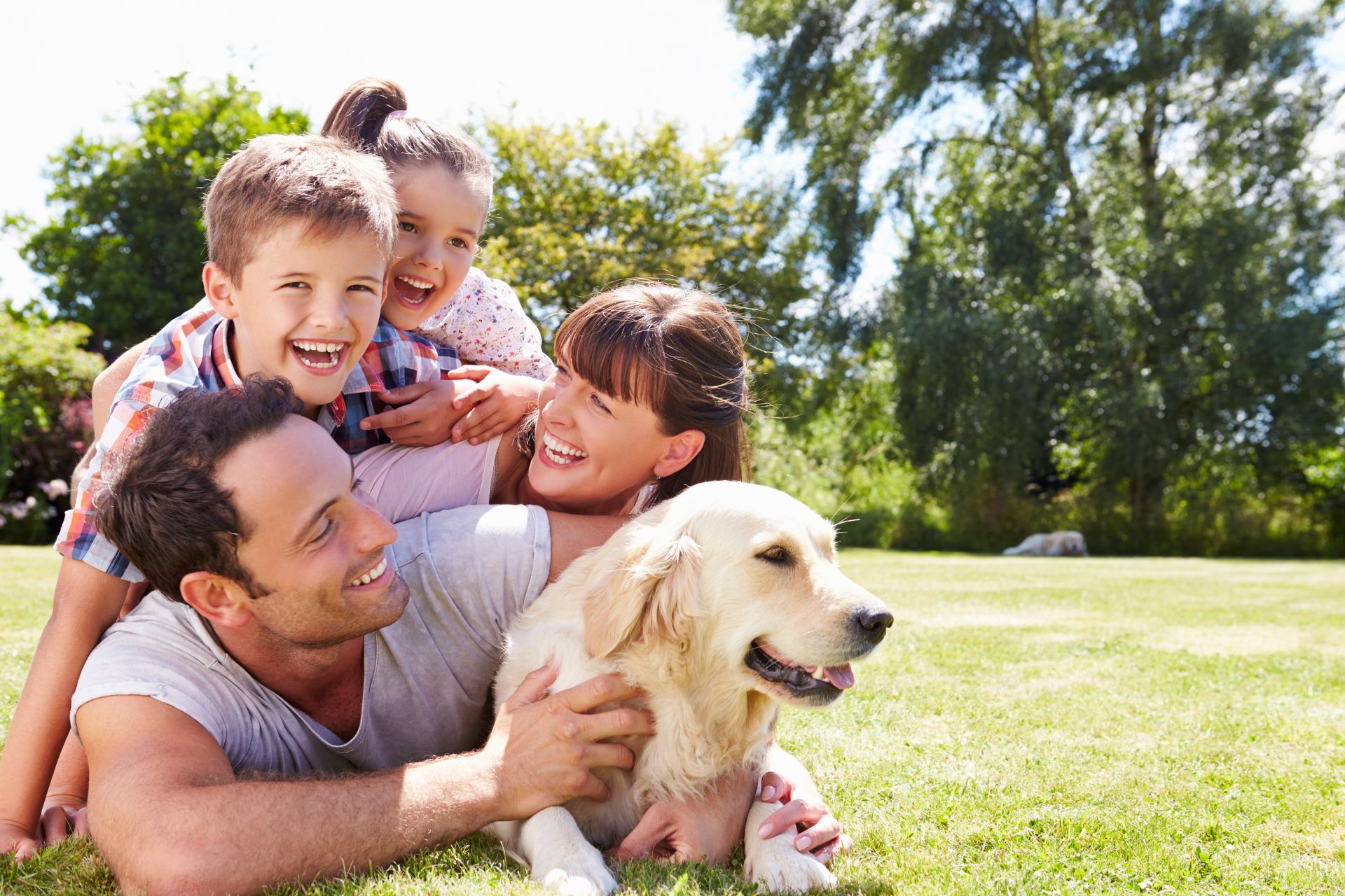 A family of four playing with a dog