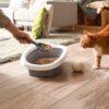 A woman cleaning cat's litter box