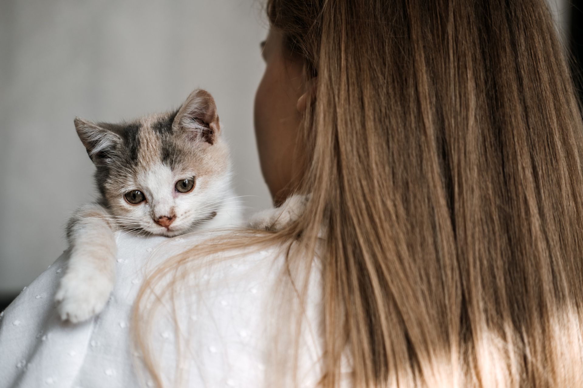 A woman hugging a cat