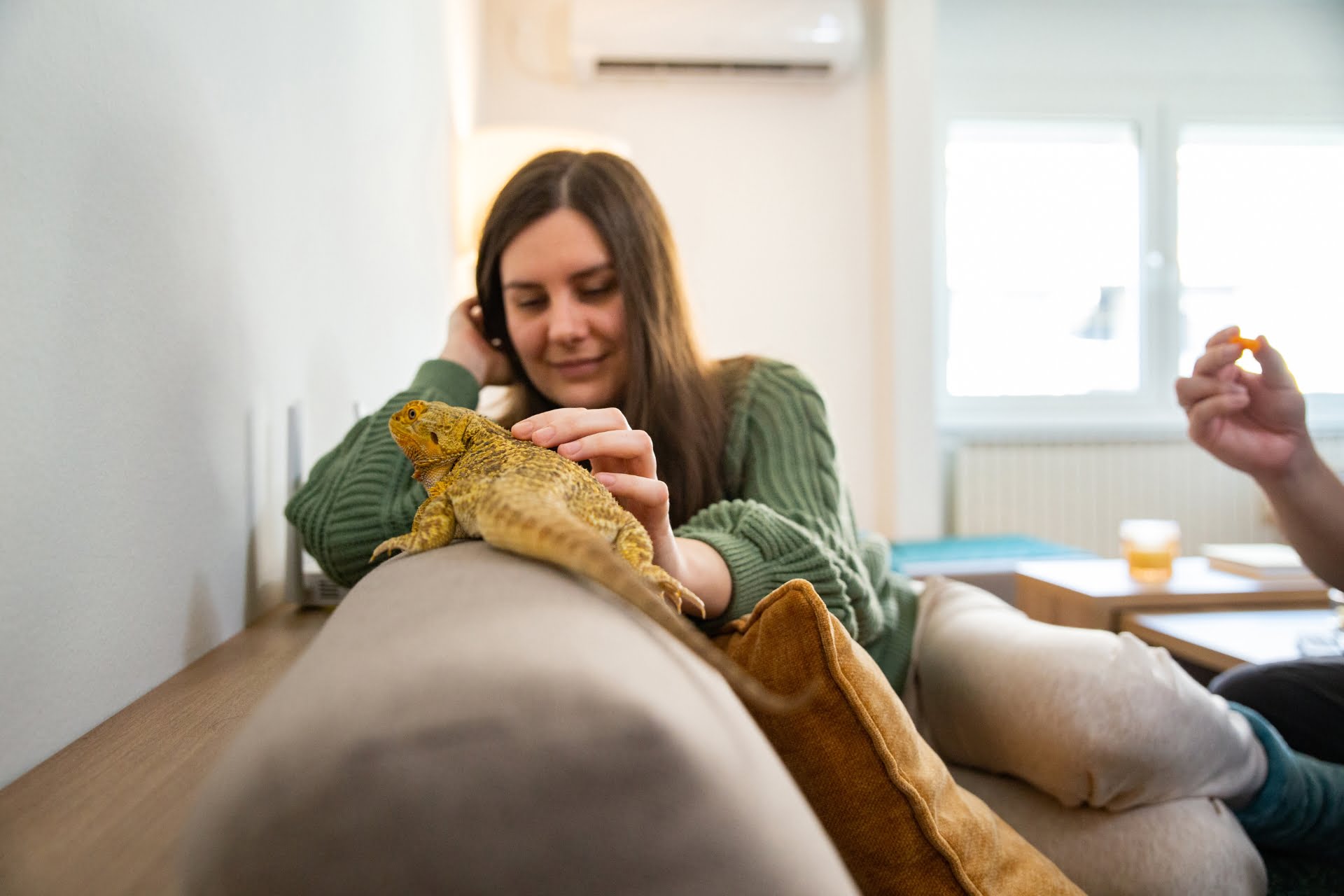 A woman playing with a lizard