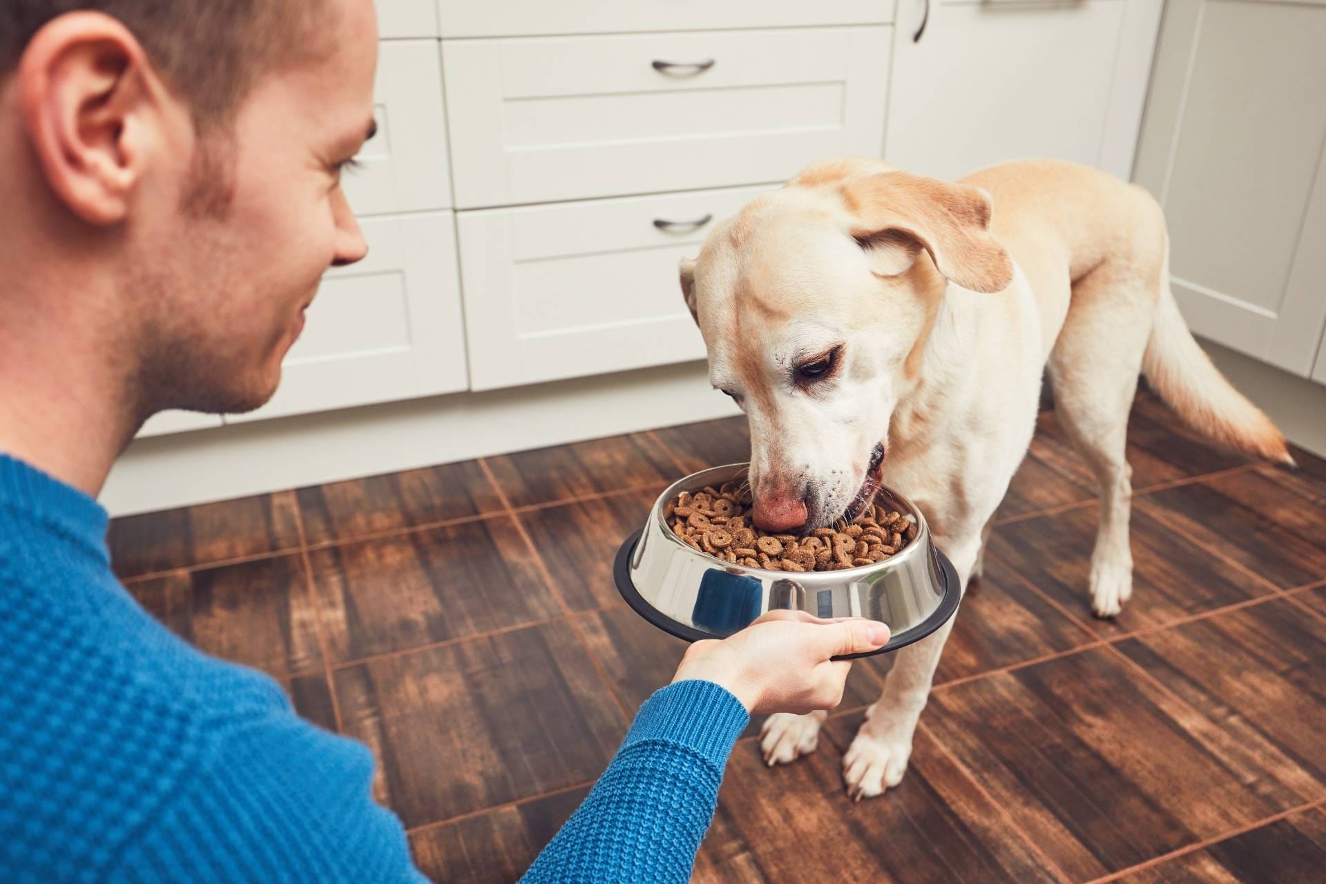 Man feeding his dog