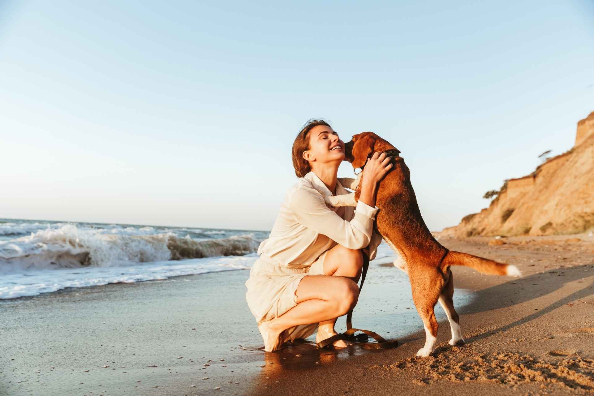 A dog showing love to his owner