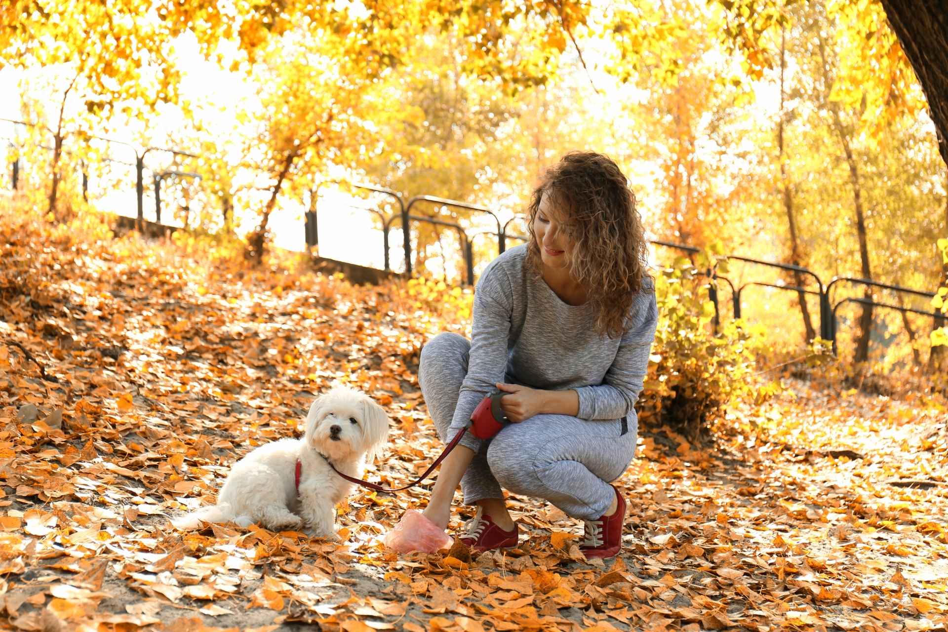 A woman picking up her dog's poop