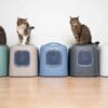 Three cats on top of five litter boxes