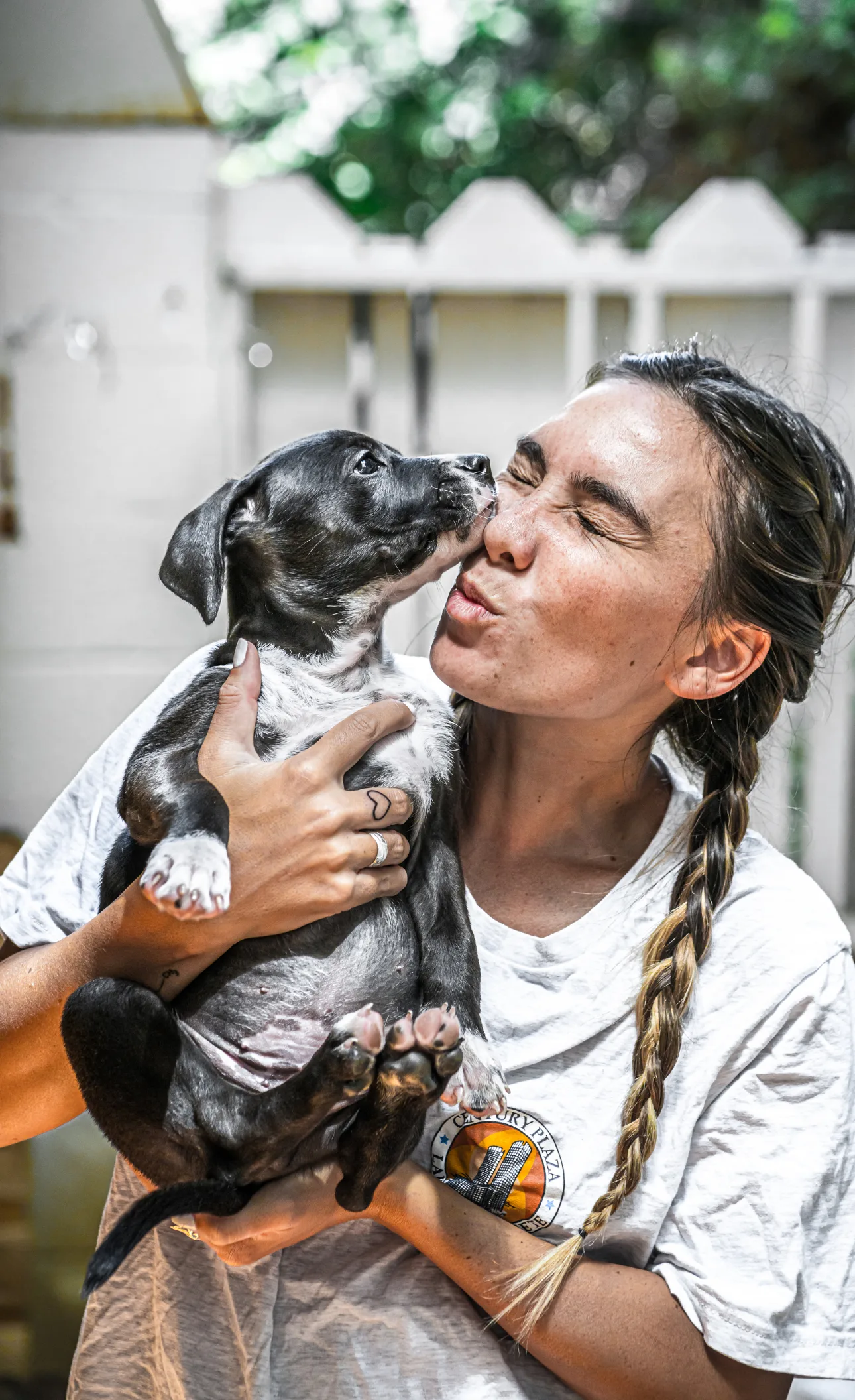 Stress-free pet care