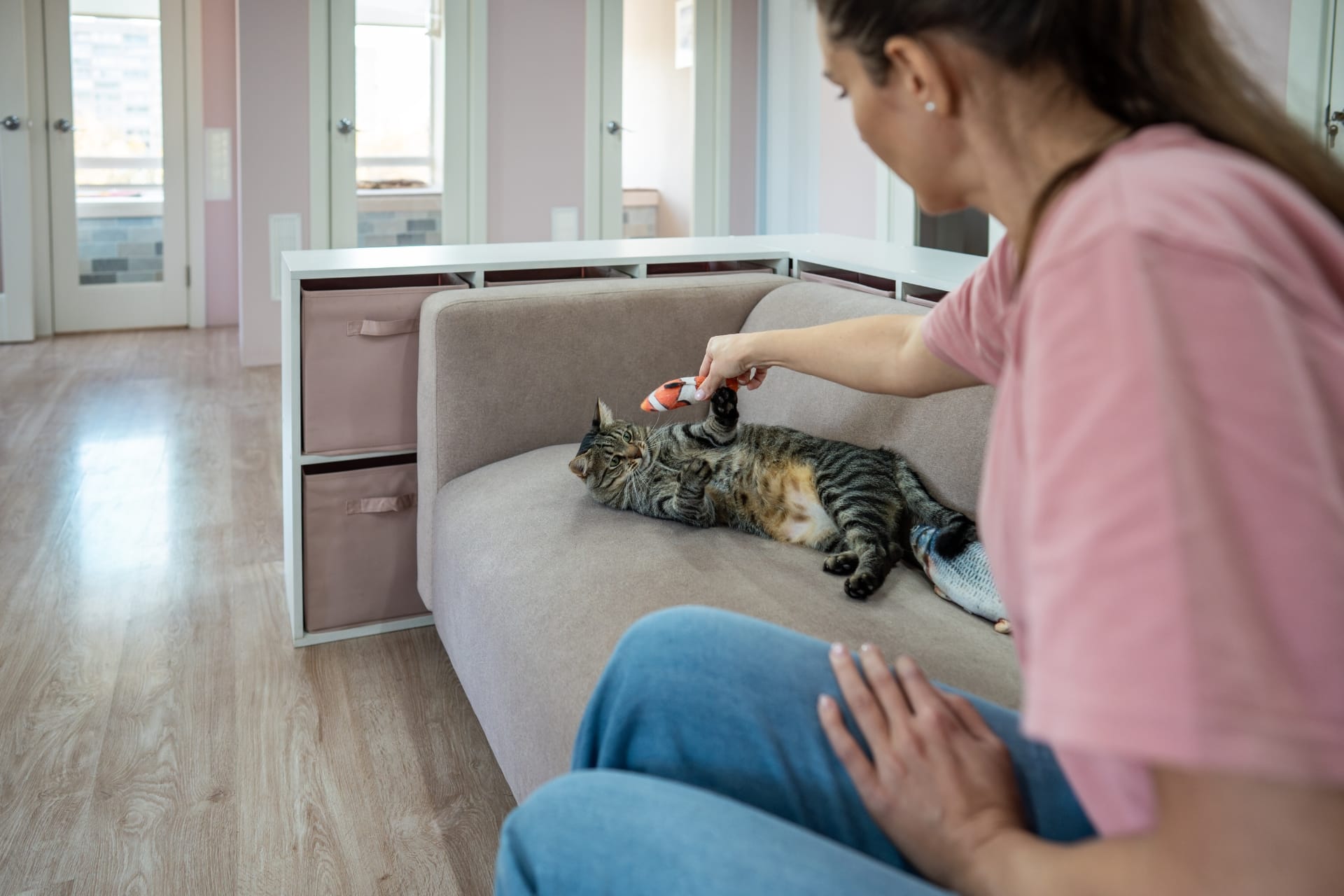 A person in a pink shirt and blue jeans is sitting on the floor, gently brushing a tabby cat with a colorful pet brush. The cat is lying on its side on a beige couch, appearing relaxed and content. The room has light wooden flooring, pastel pink walls, and large windows with a view of buildings outside. A white storage unit with fabric drawers is positioned next to the couch.