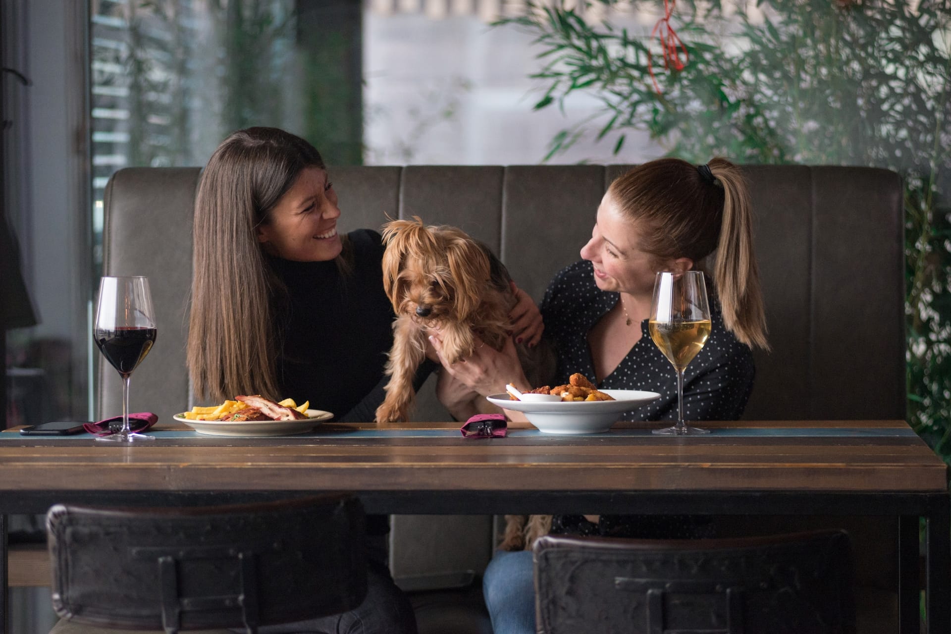 Two women on a table in a restaurant with a dog between them