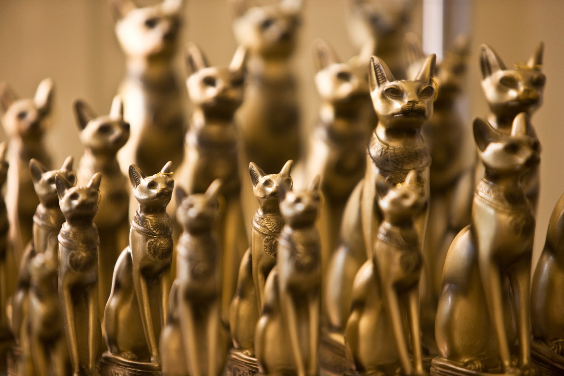 A collection of golden cat statues, styled in an ancient Egyptian design, is arranged closely together against a warm, blurred background. The statues vary in size, with some adorned with decorative collars and earrings, depicting cats in a seated, upright position with alert ears and expressive faces.