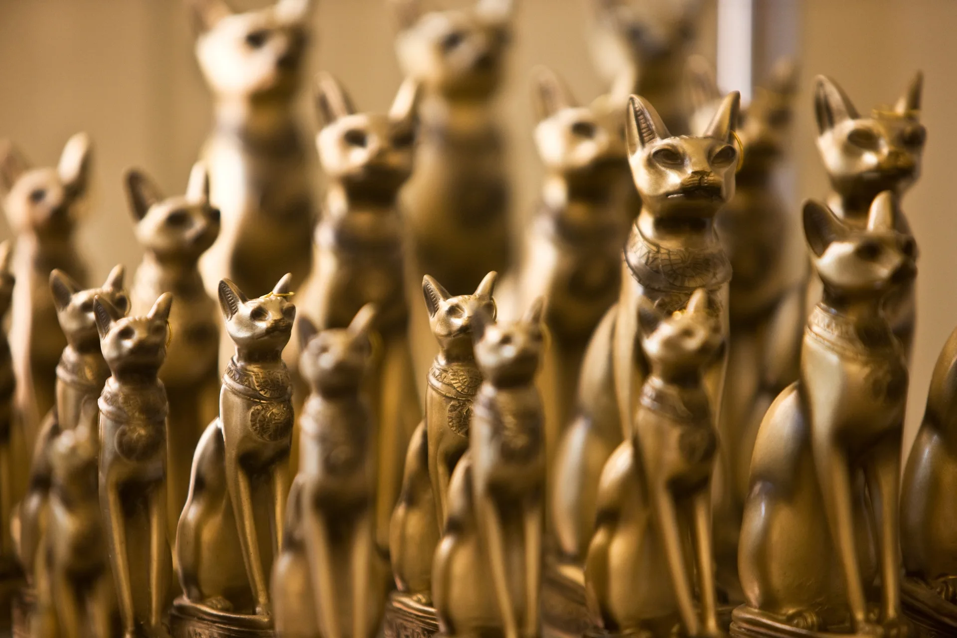 Egyptian Cats: Ancient History & Modern Breeds Explored