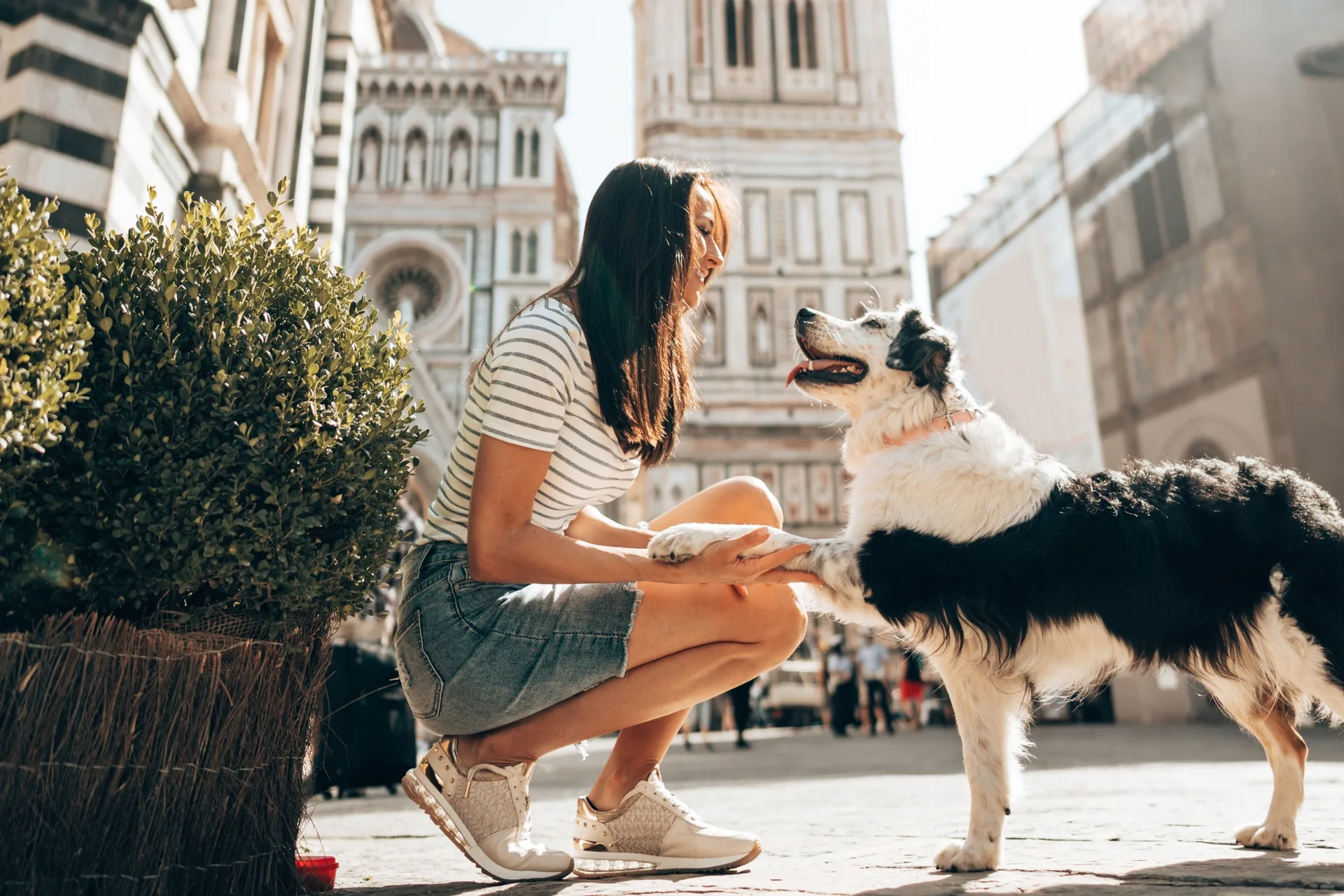 A woman with long dark hair, wearing a striped shirt and denim skirt, crouches on a cobblestone street to shake hands with a black-and-white Border Collie dog. The dog stands happily with its tongue out, engaging with the woman. In the background, there is a historic building with ornate architecture, possibly a cathedral, and a potted green shrub, suggesting a picturesque urban setting, likely a European city. The scene captures a joyful interaction between the woman and the dog in a sunny environment.