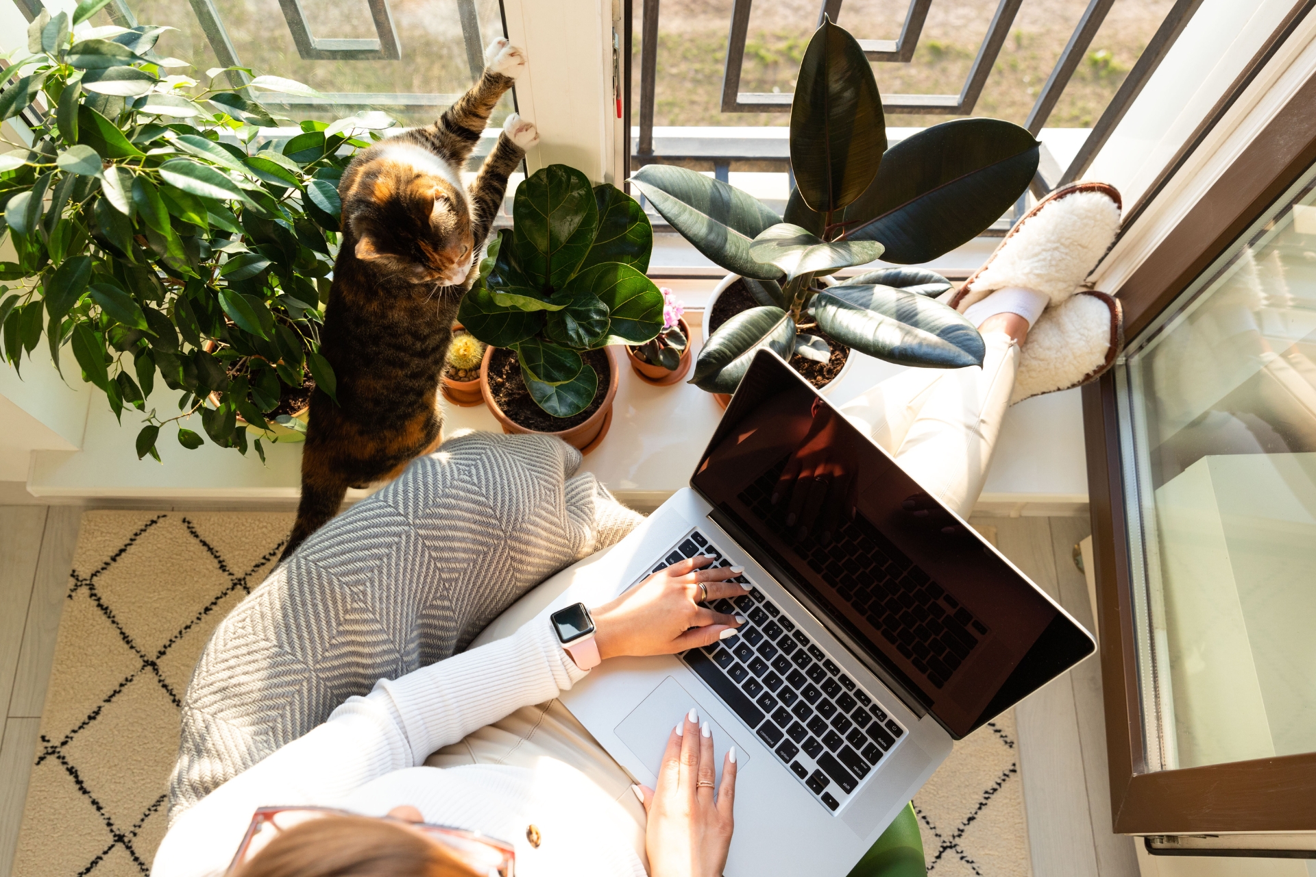 A person wearing a white sweater, light-colored pants, and fluffy slippers sits on a cozy window seat with a laptop on their lap. They are typing on the laptop, which rests on a patterned blanket. A calico cat with orange, black, and white fur is perched on a potted plant nearby, reaching up to the window with its paws. The window seat is adorned with various potted plants, including a rubber plant and a small cactus, and overlooks a balcony with a view of greenery outside. The scene is set in a bright, airy room with a patterned rug on the floor, creating a relaxed and homey atmosphere.