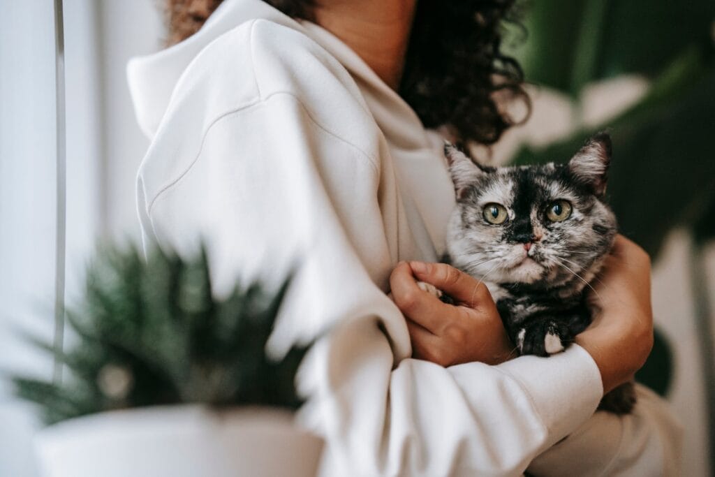 Persona che tiene un gatto grigio in un ambiente interno con piante.