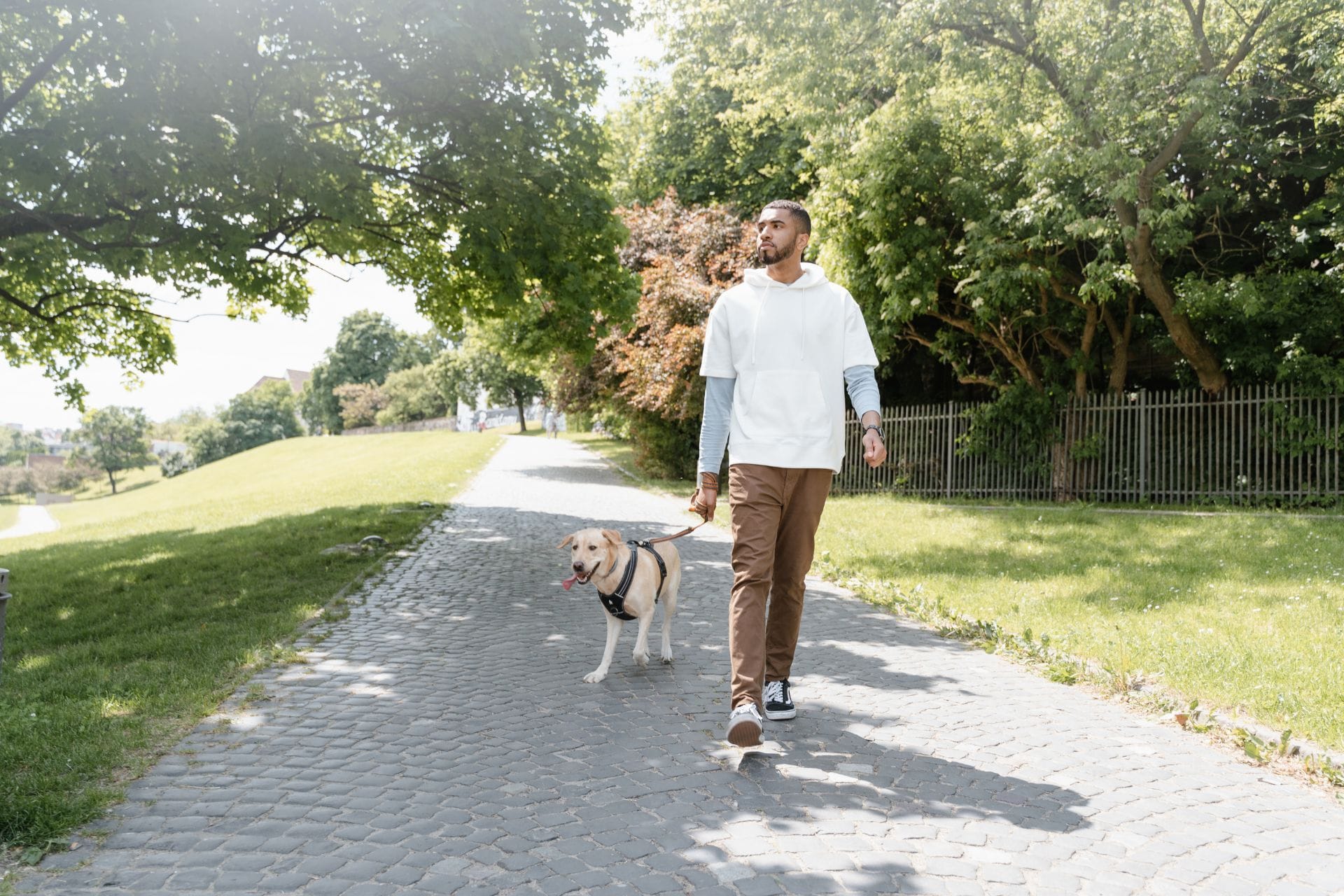 A person in a white hoodie and brown pants walks a dog on a leash along a cobblestone path in a sunny park with green grass and trees.