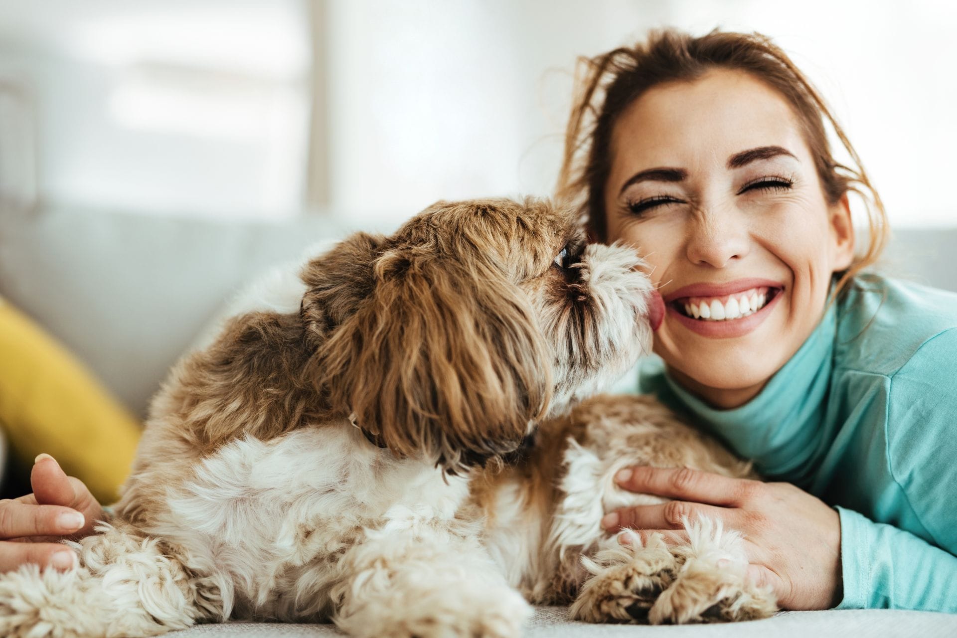 A woman in a blue shirt cuddles with a fluffy brown and white dog on a couch, both appearing happy and affectionate.