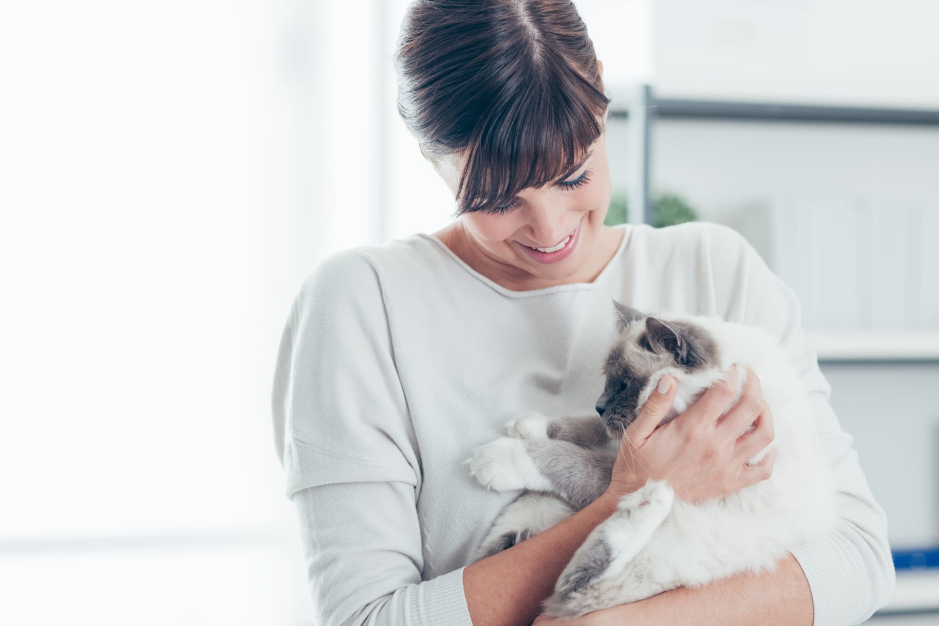 A woman in a light sweater lovingly holds a fluffy cat with blue eyes in a bright, modern room, showcasing the bond between pet and caregiver.