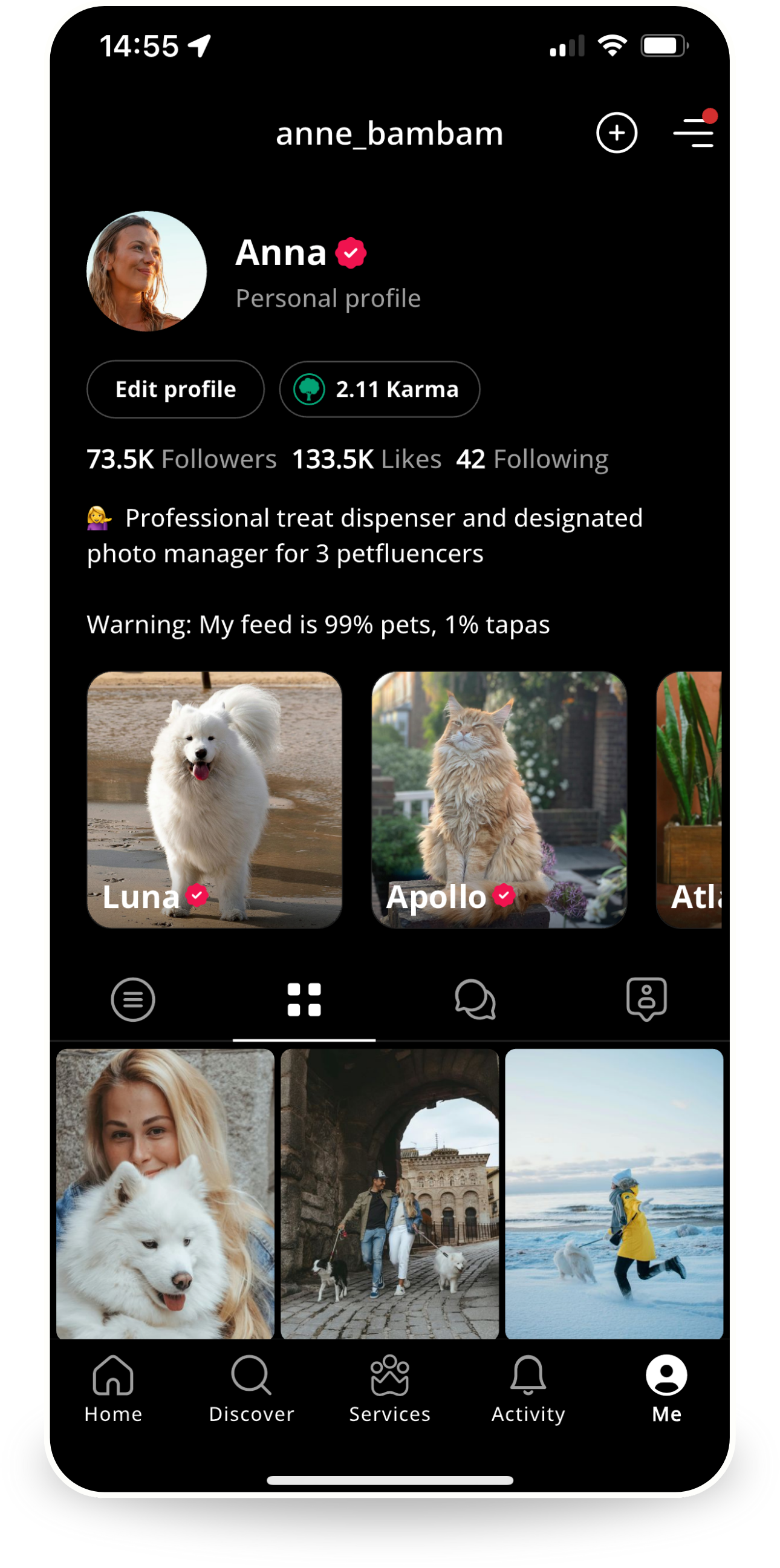 Screenshot of Petme profile for anne_bambam (Anna) with followers, likes. Bio: "Professional treat dispenser for 3 petfluencers. 99% pets, 1% tapas." Features pets Luna (Samoyed), Gatsby (cat), Atl (plant).