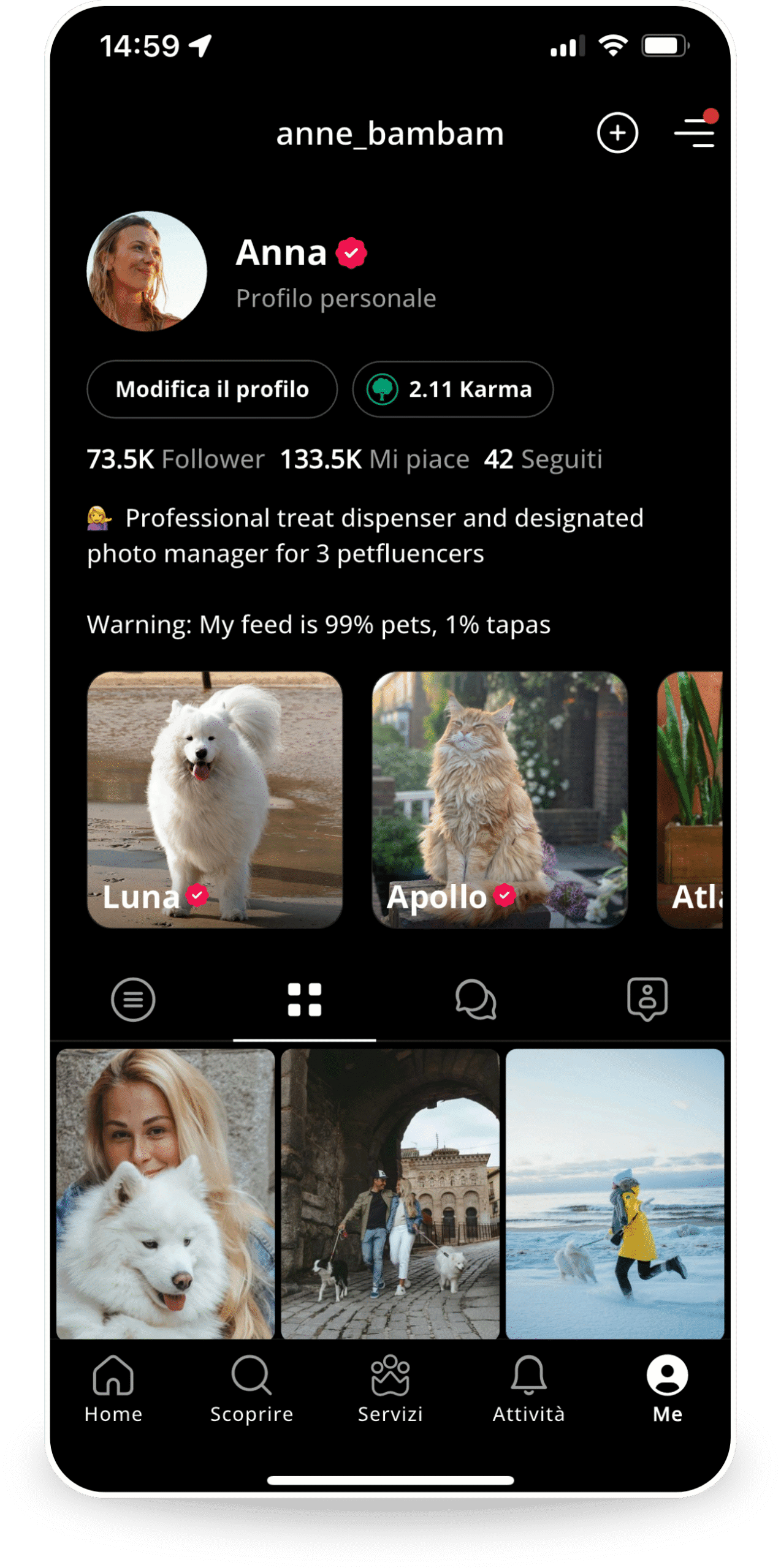 Pet sitting app download process
