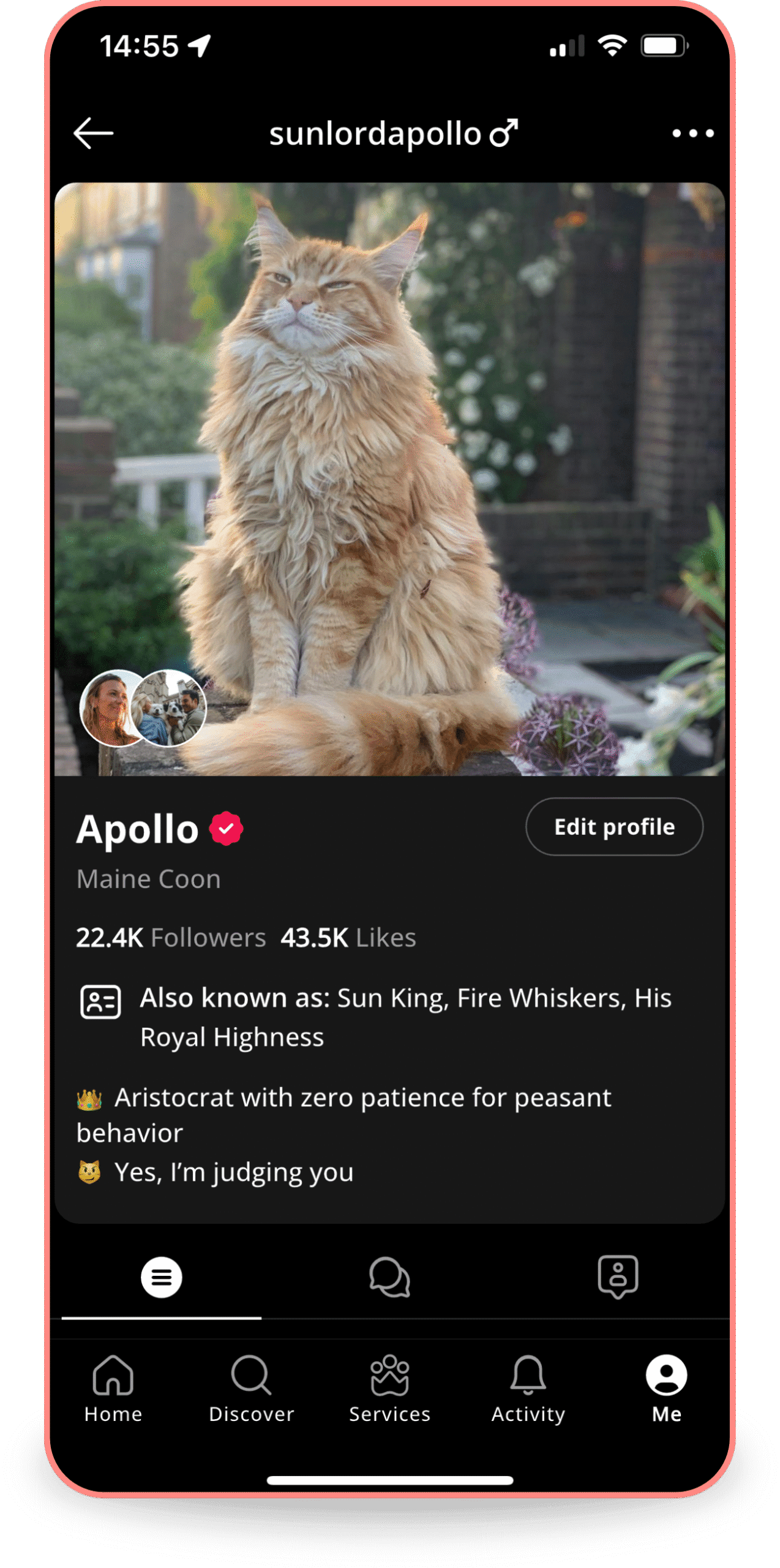 A smartphone screen displaying a Petme profile for "Gatsby," a British Shorthair cat, with a close-up photo of the cat's face. The profile shows followers, likes, and humorous nicknames like "Fat-sby, Lord of the Manor, His Royal Highness." Text includes "Aristocrat with zero patience for peasant behavior" and "Yes, I'm judging you" with an emoji.