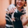 A person feeds a black-and-white kitten with a bowl nearby.