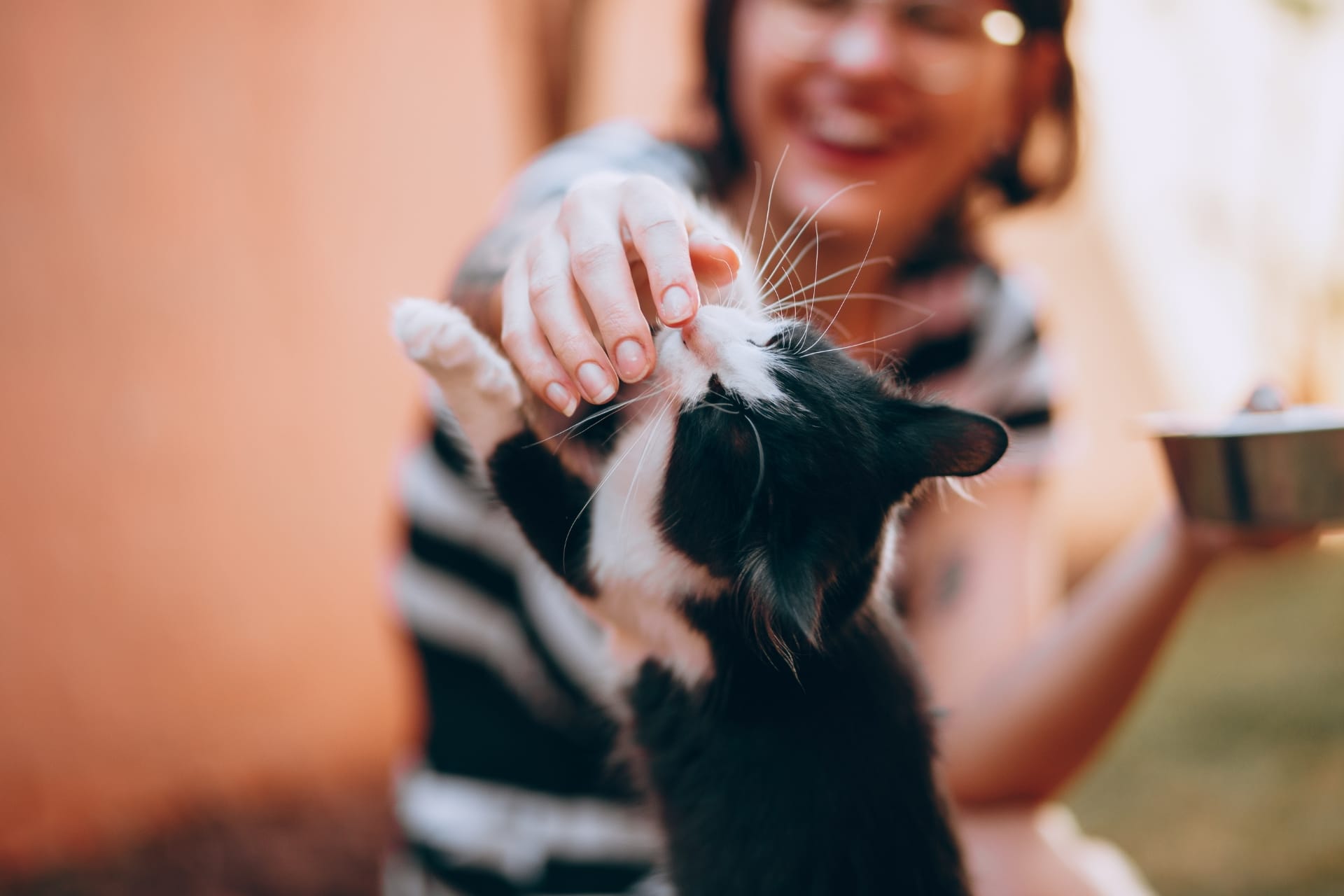 A person feeds a black-and-white kitten with a bowl nearby.