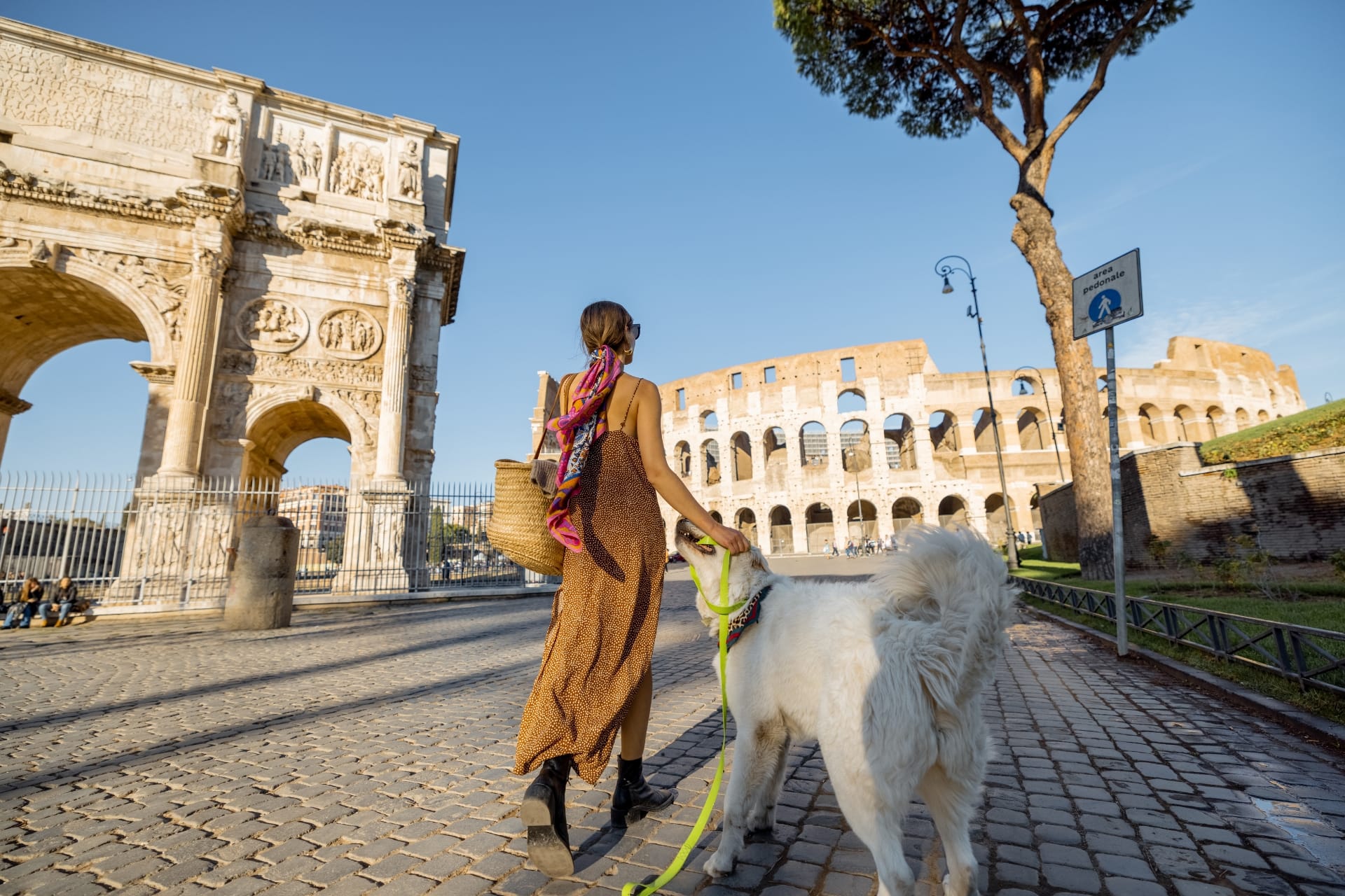Donna che passeggia con un grande cane bianco su un sentiero di ciottoli vicino all'Arco di Costantino e al Colosseo a Roma in una giornata soleggiata.
