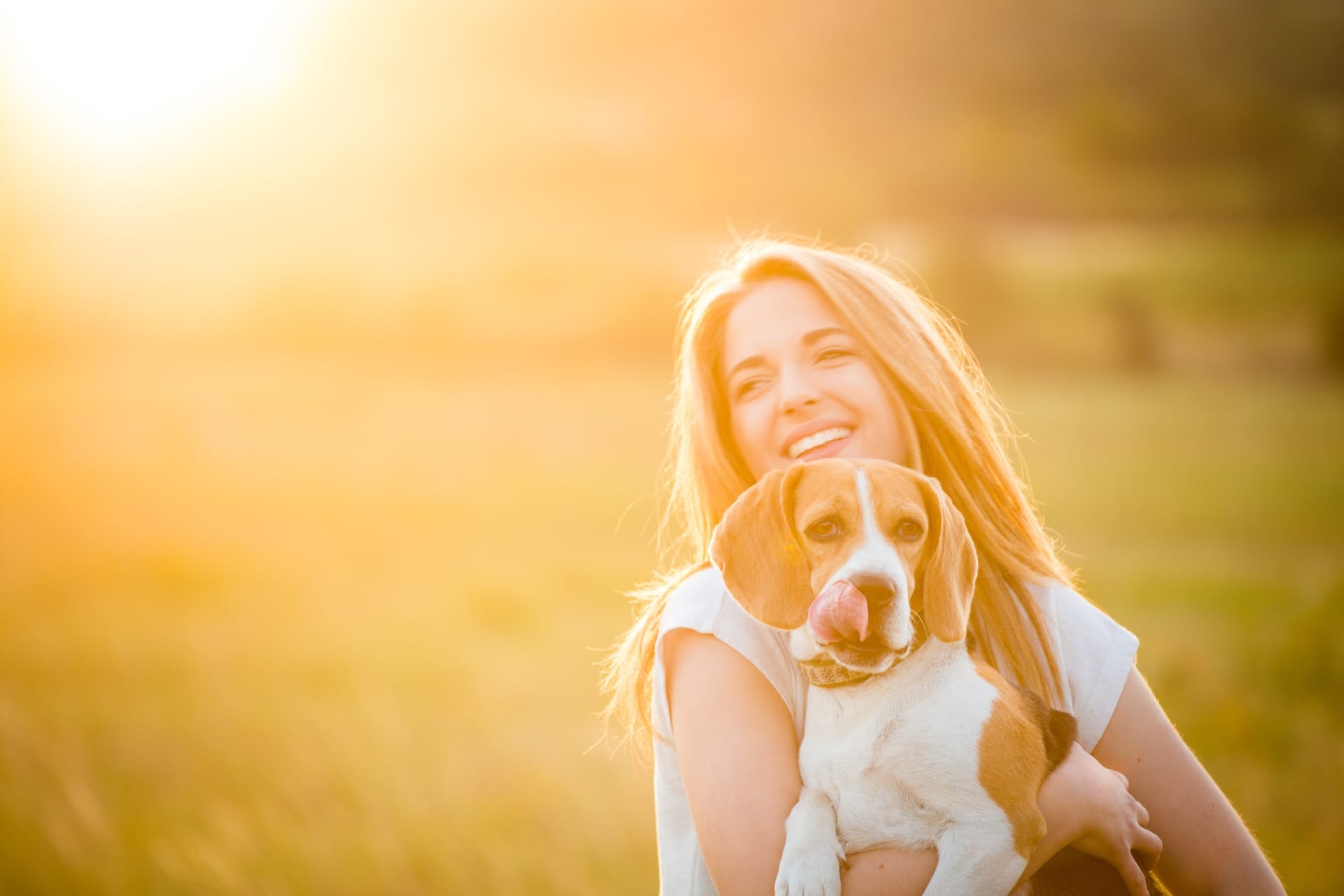 A woman holding a beagle in a sunny field at sunset.