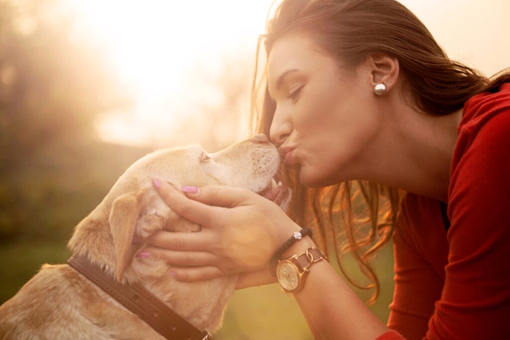 A woman in a red shirt kisses a light brown dog on the nose while holding its face, with a warm sunset background.