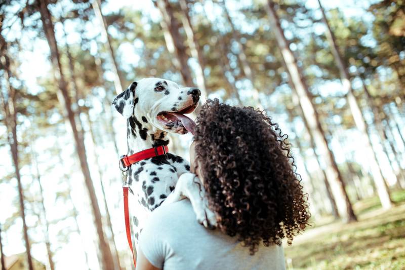 First Time Using a Pet Sitter: The Guide for Anxious Pet Parents